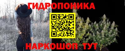 спайс Будённовск