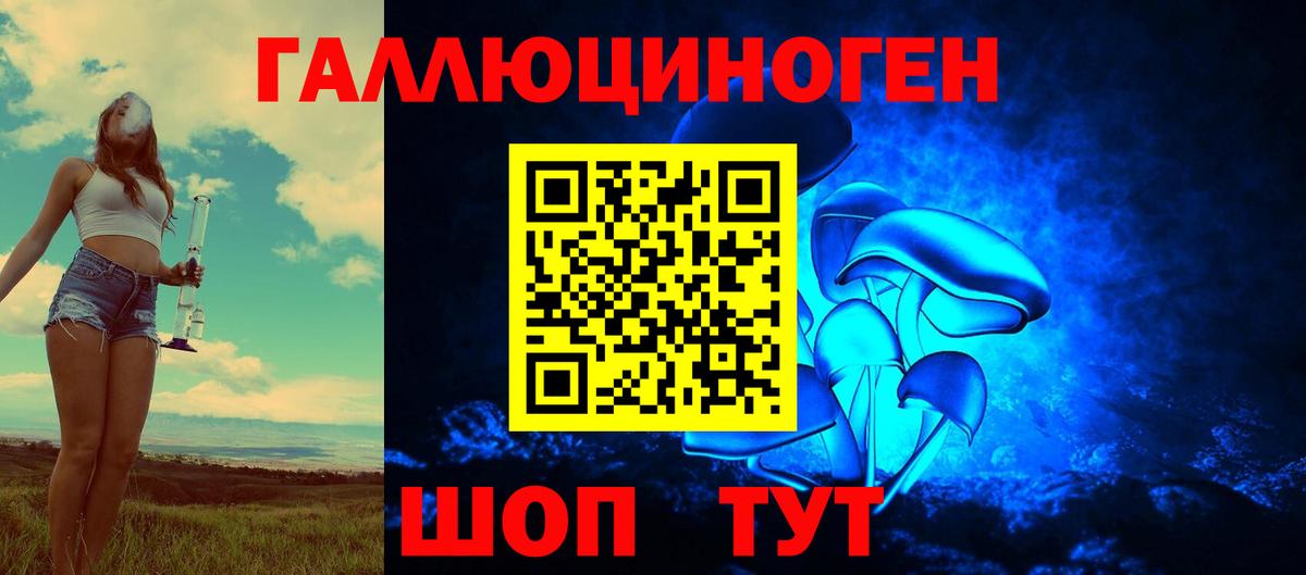 Галлюциногенные грибы Cubensis  Вход с VPN  Тында 